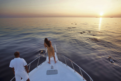 Sunset Dolphin Safari 